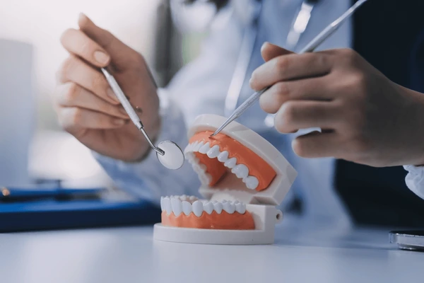 Isparta Diş Kliniği Kaya Dental
